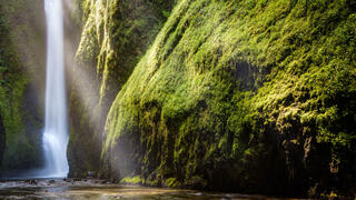 Oneonta Gorge Falls
