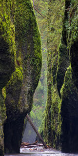 Oneonta Gorge