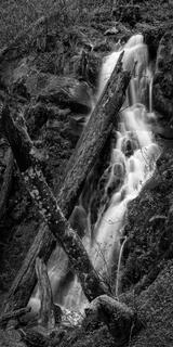 Pacific Coast Trail BW