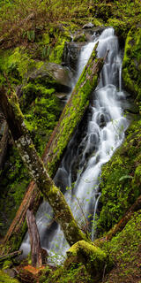 Pacific Coast Trail
