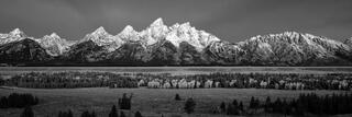 Grand Tetons BW