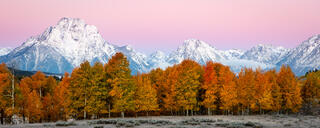 Mt Moran