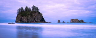 South 2nd Beach Olympic NP