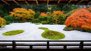 Japanese Flat Garden