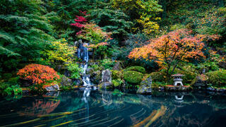 Japanese Garden Heavenly Falls LE 1/50
