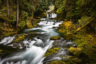 Mckenzie River Oregon