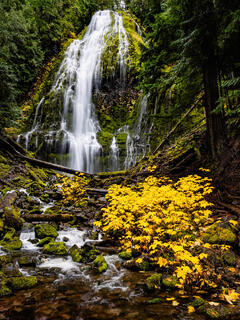 Proxy Falls in the Fall