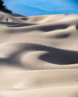 Mesquite Flat Sand Dunes 3