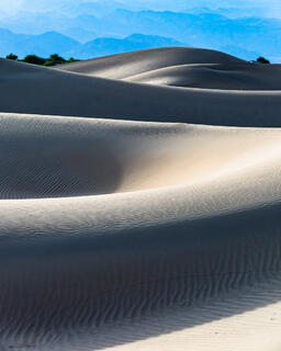 Mesquite Flat Sand Dunes 5