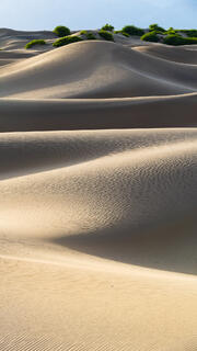 Mesquite Flat Sand Dunes 7