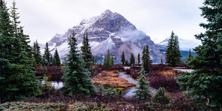 Bow Lake