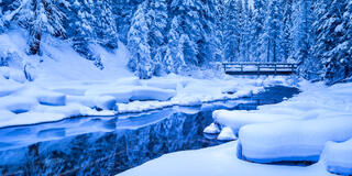 Snowy Bridge