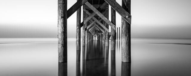 The One BW print