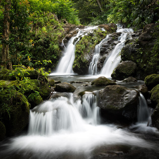 Road to Hana print
