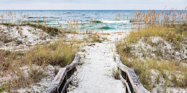 Emerald Coast print