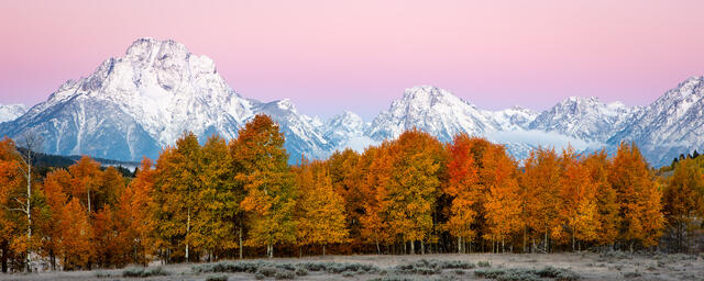 Mt Moran print