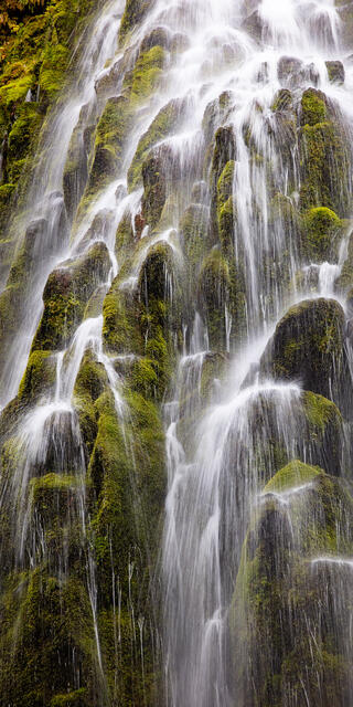 Proxy Falls 2 LE 1/50 print