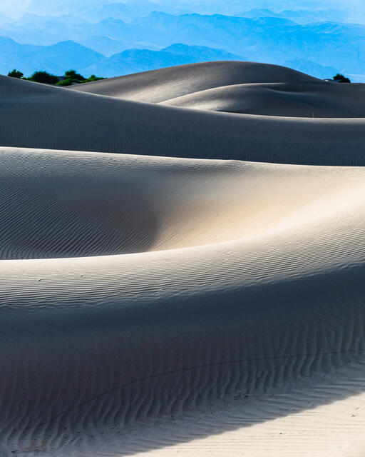 Mesquite Flat Sand Dunes 5 print