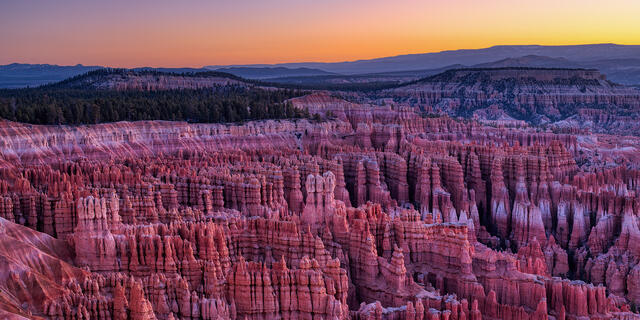 Bryce Canyon print