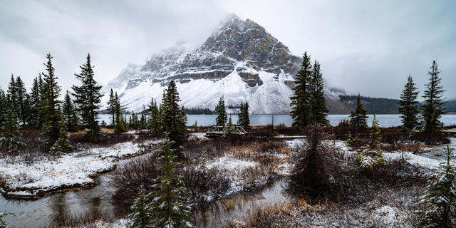 First Snow Bow Lake print