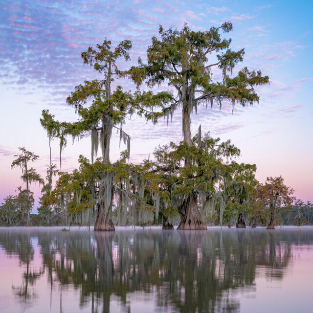 Lake Martin 2 print