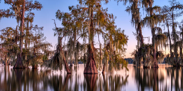Lake Martin 4 print