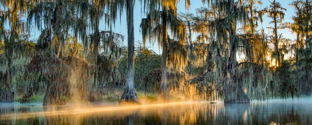 Lake Martin 5 print