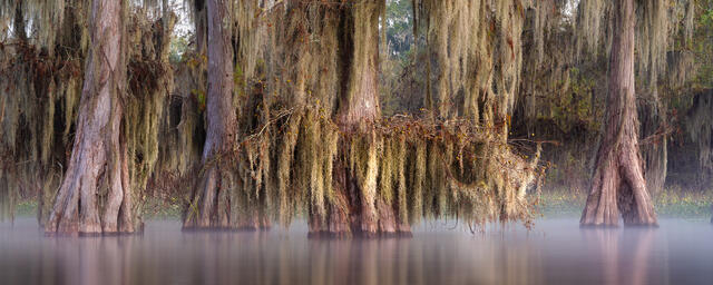 Lake Martin 6 print
