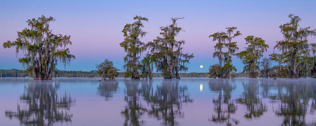 Lake Martin Full Moon print