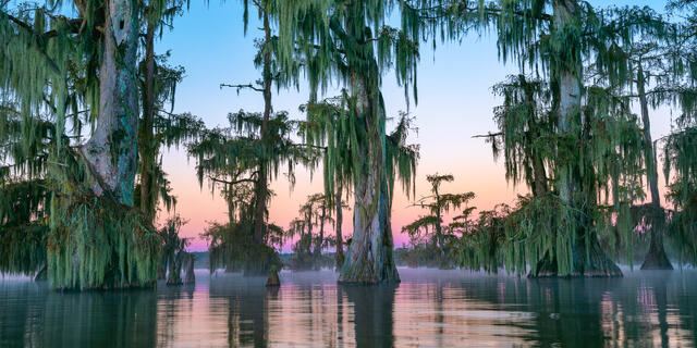 Lake Martin Sunrise LE 100 print