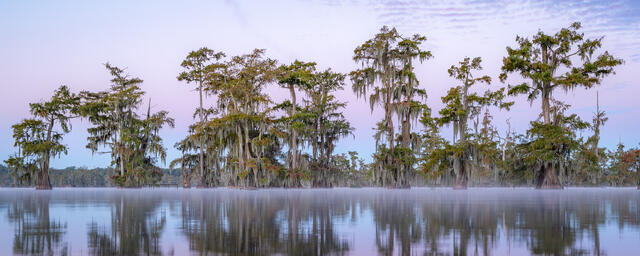 Lake Martin print
