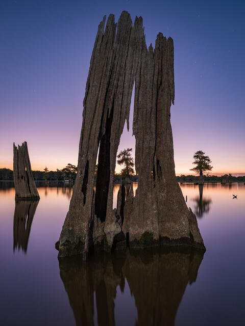 Cypress Window print