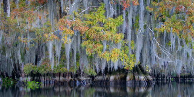 Lake Dauterive 2 LE 1/50 print