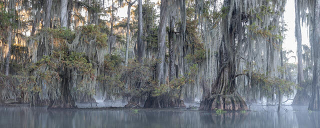 Lake Martin 7 print