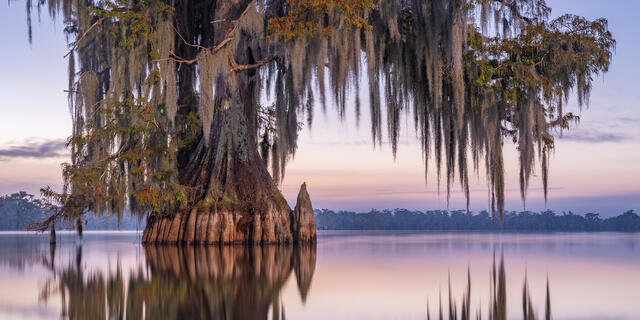 Lake Martin Sunrise 2 print