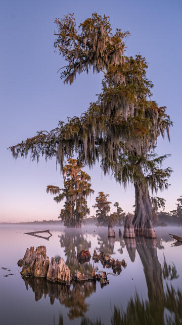 Lake martin 8 print